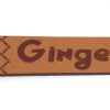 Tag-Ginger